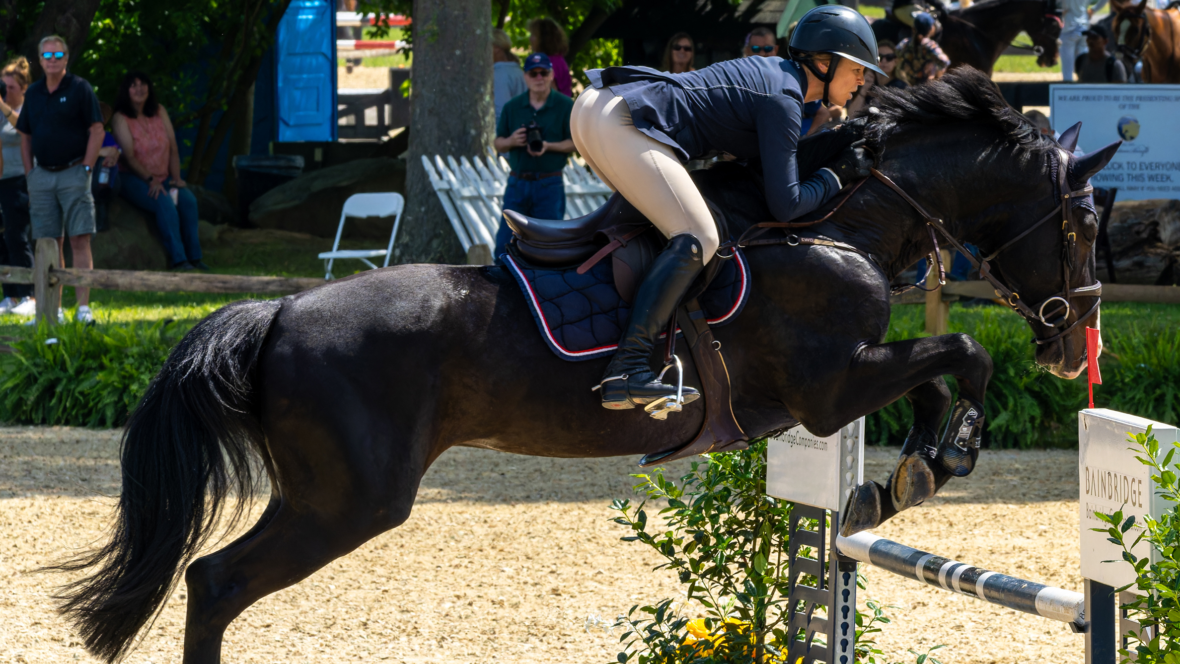 Horse Shows